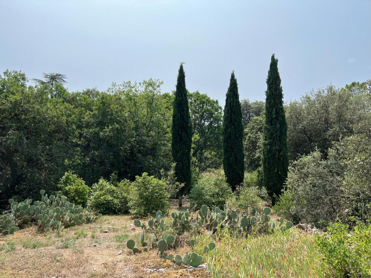 Luxurious Family House With Pool In Ardeche. Villa Les Vans