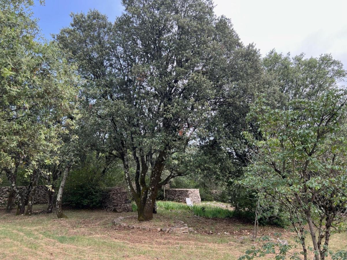Villa Luxurious Family House With Pool In Ardeche.